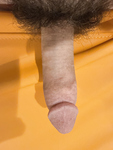 Daddy’s Hairy Cock