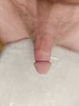 Cock pics