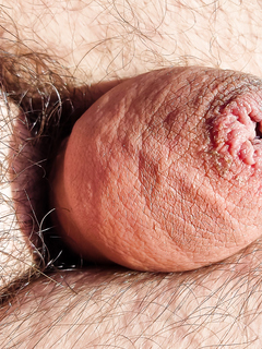 My hairy soft cock