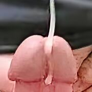 Old&horny